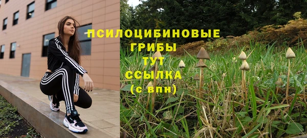 сатива Иннополис
