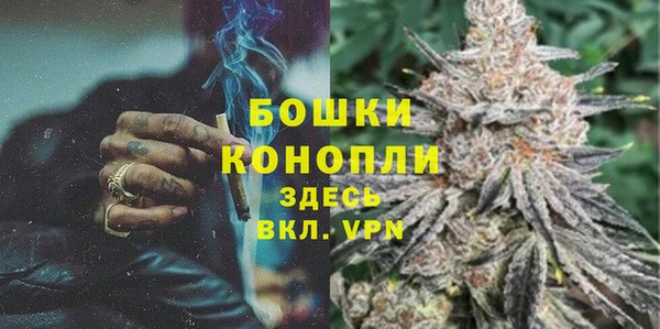 молекула духа Снежногорск