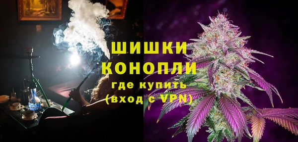 сатива Иннополис