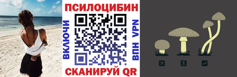 Псилоцибиновые грибы Psilocybe  Купить где  Дрезна 